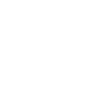 white-PRESS-BIBLE INSTITUTE-02-03